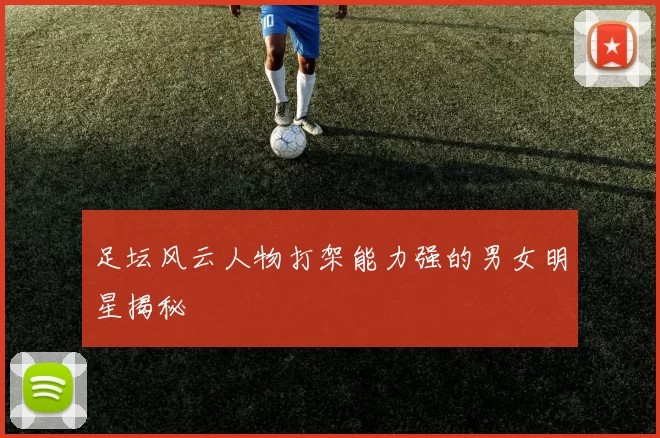 足坛风云人物打架能力强的男女明星揭秘