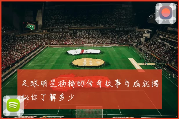 足球明星杨梅的传奇故事与成就揭秘你了解多少