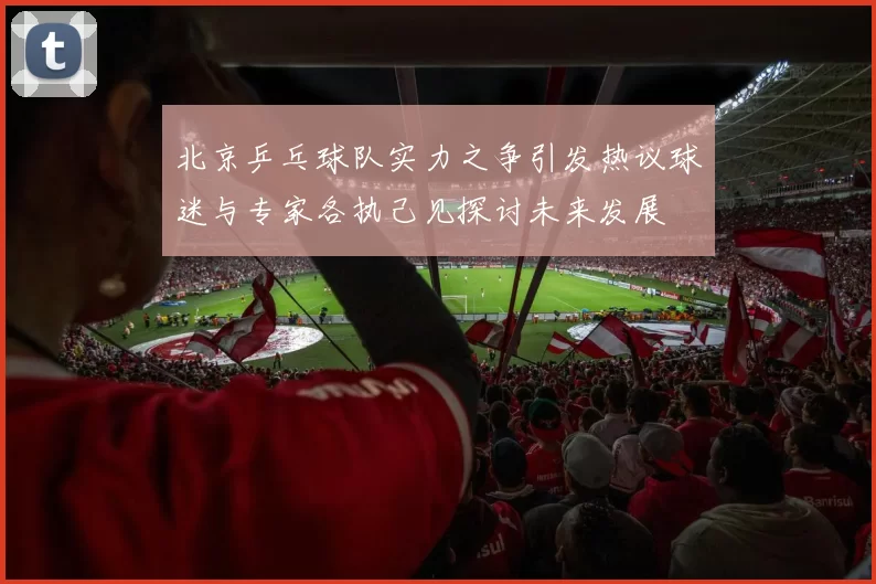 北京乒乓球队实力之争引发热议球迷与专家各执己见探讨未来发展