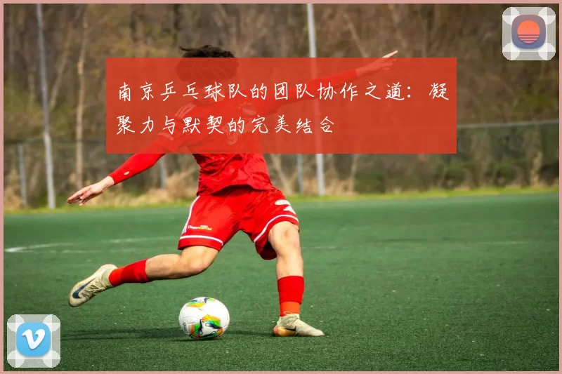 南京乒乓球队的团队协作之道：凝聚力与默契的完美结合