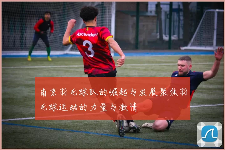 南京羽毛球队的崛起与发展聚焦羽毛球运动的力量与激情