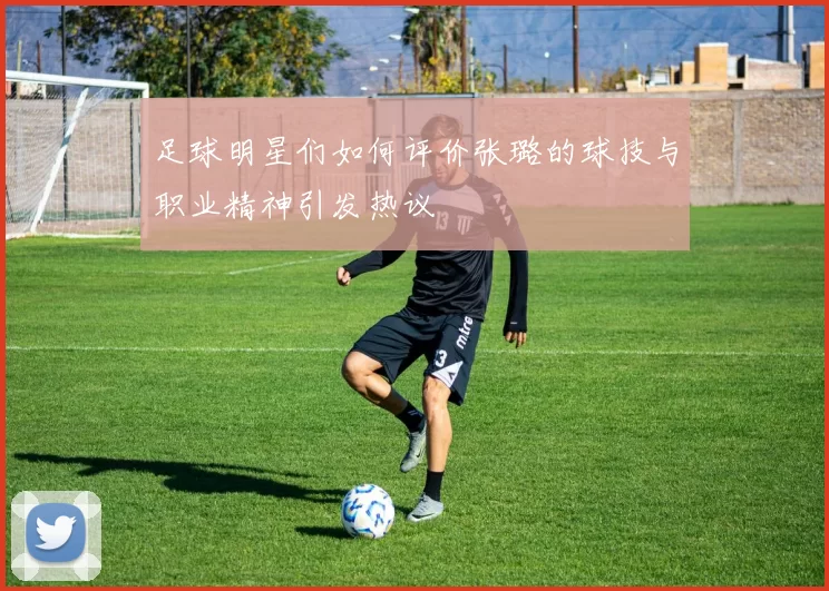 足球明星们如何评价张璐的球技与职业精神引发热议