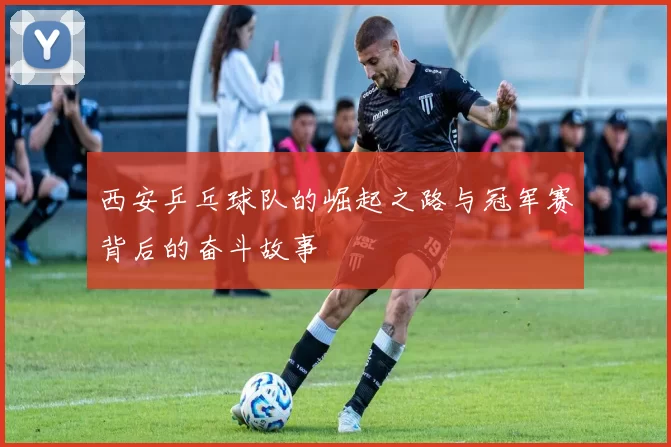 西安乒乓球队的崛起之路与冠军赛背后的奋斗故事