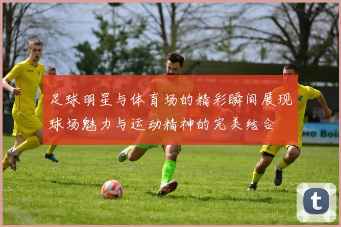 足球明星与体育场的精彩瞬间展现球场魅力与运动精神的完美结合